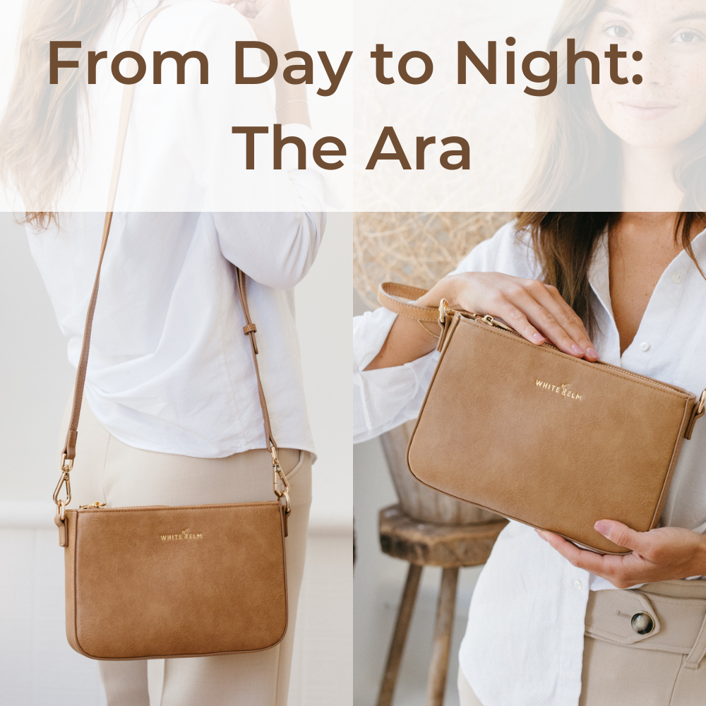 From Day to Night: The Ara